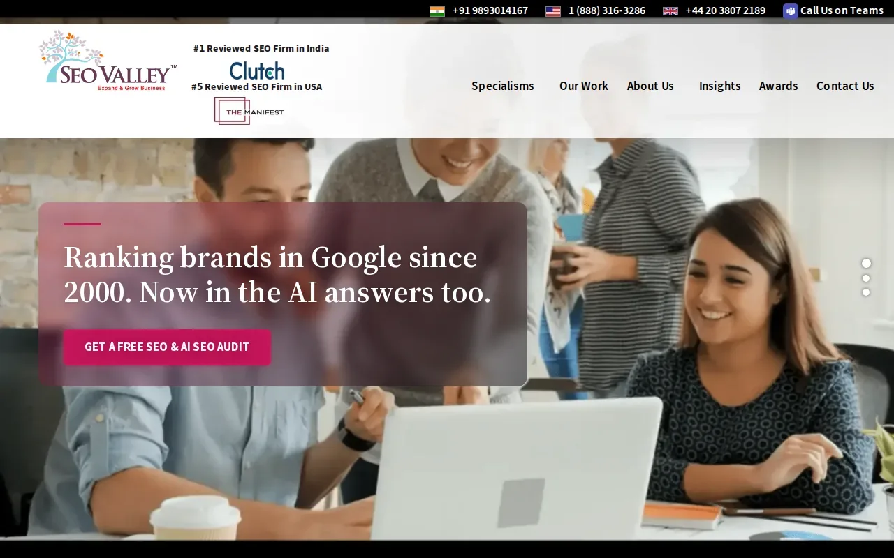 Screenshot of the SEOValley website
