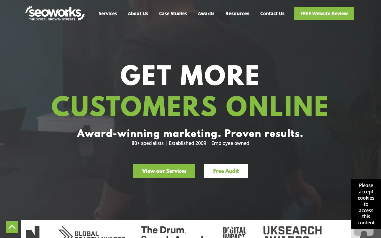 Screenshot of The SEO Works website homepage