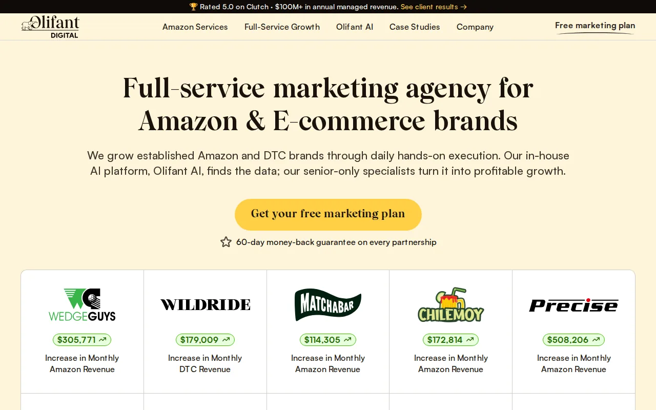 Screenshot of the Olifant Digital website