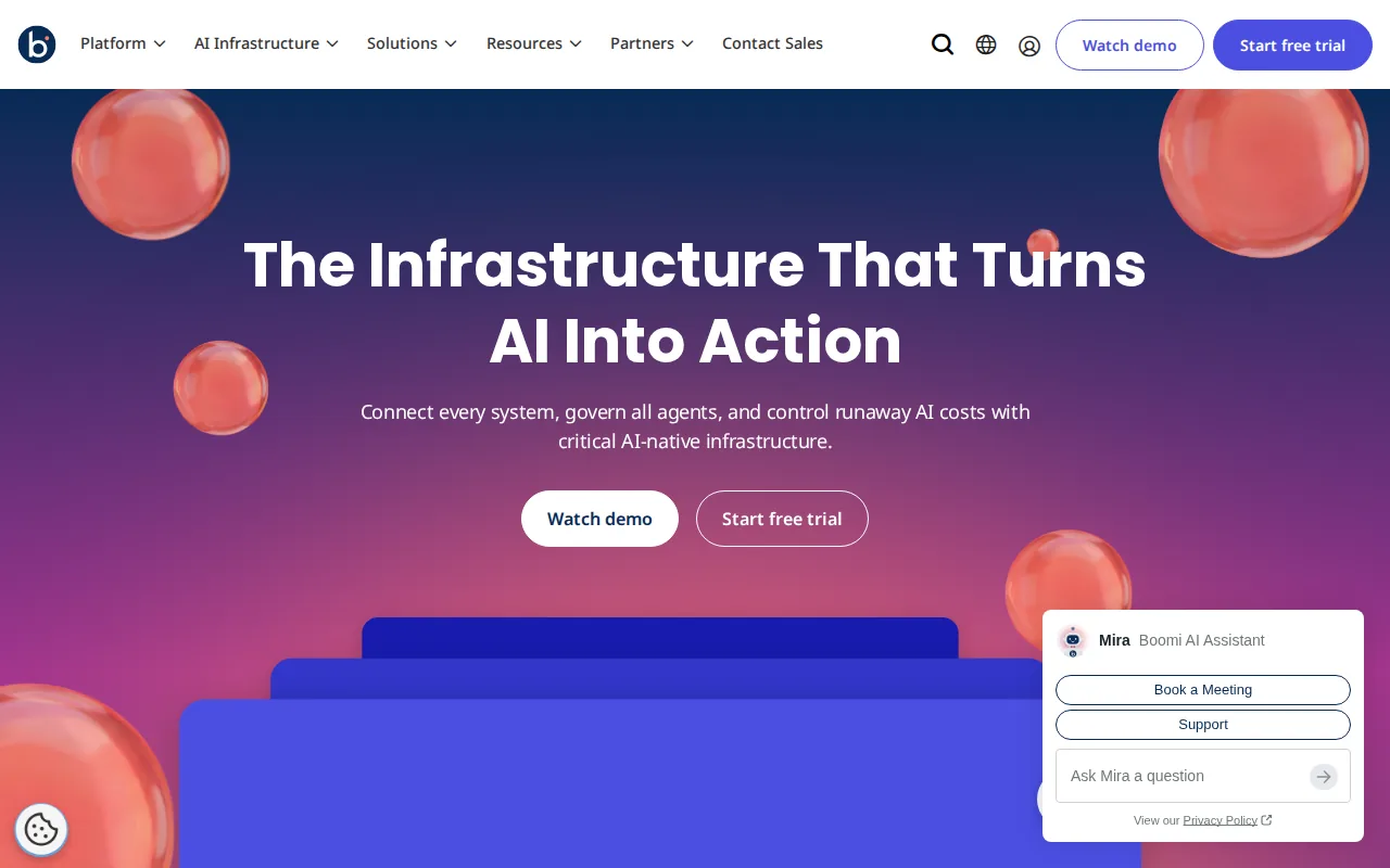 Screenshot of the Boomi website