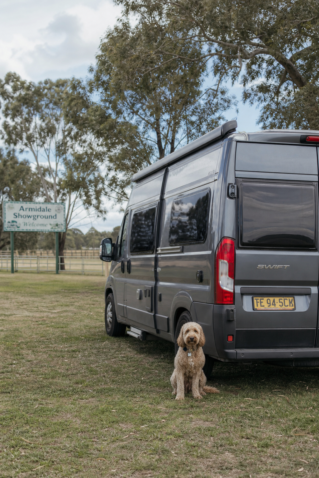 A photorealistic view of a campervan parked on a grassy site at Armidale Showground, with a dog sitting beside the van and trees in the background. Alt: pet-friendly camping at Armidale Showground