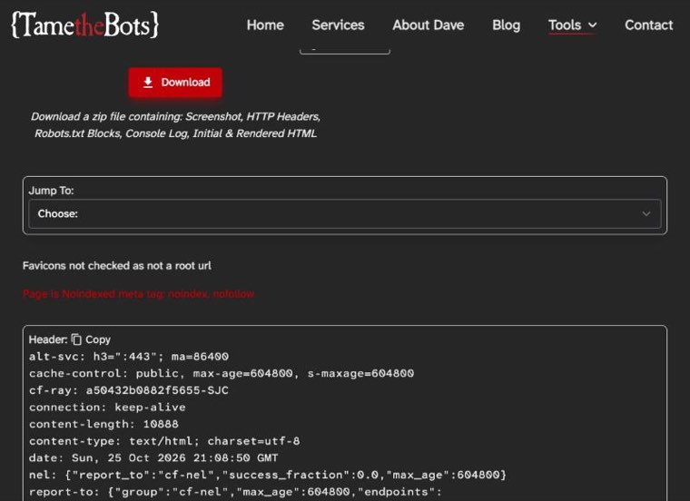 Tame the Bots fetch and render result flagging a noindexed page and showing response headers