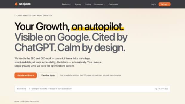 SEOJuice homepage