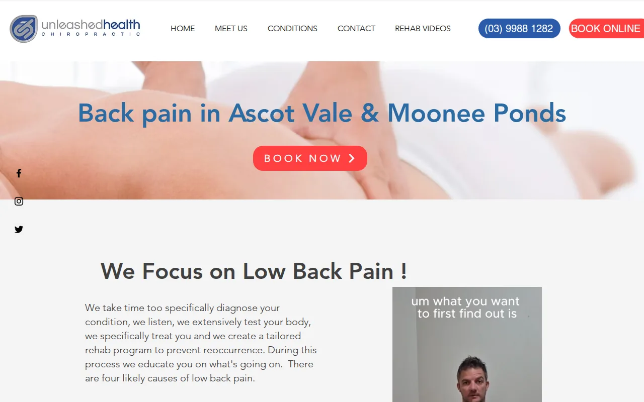 Screenshot of the Lower Back Pain and Spinal Manipulation Care website