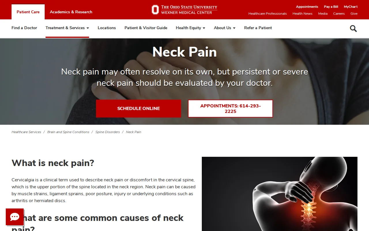 Screenshot of the Neck Pain website