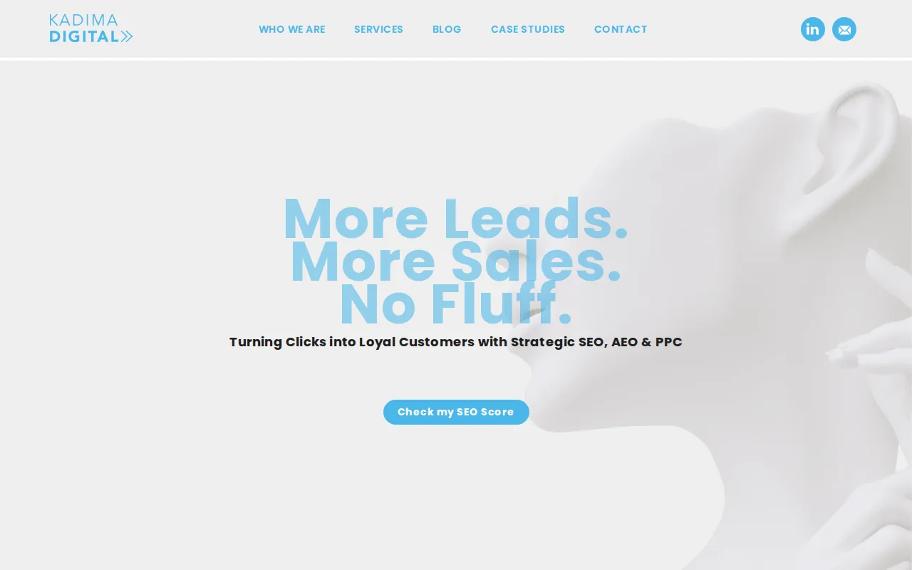 Best B2B PPC Agencies for 2026 1 Screenshot of the Kadima Digital website