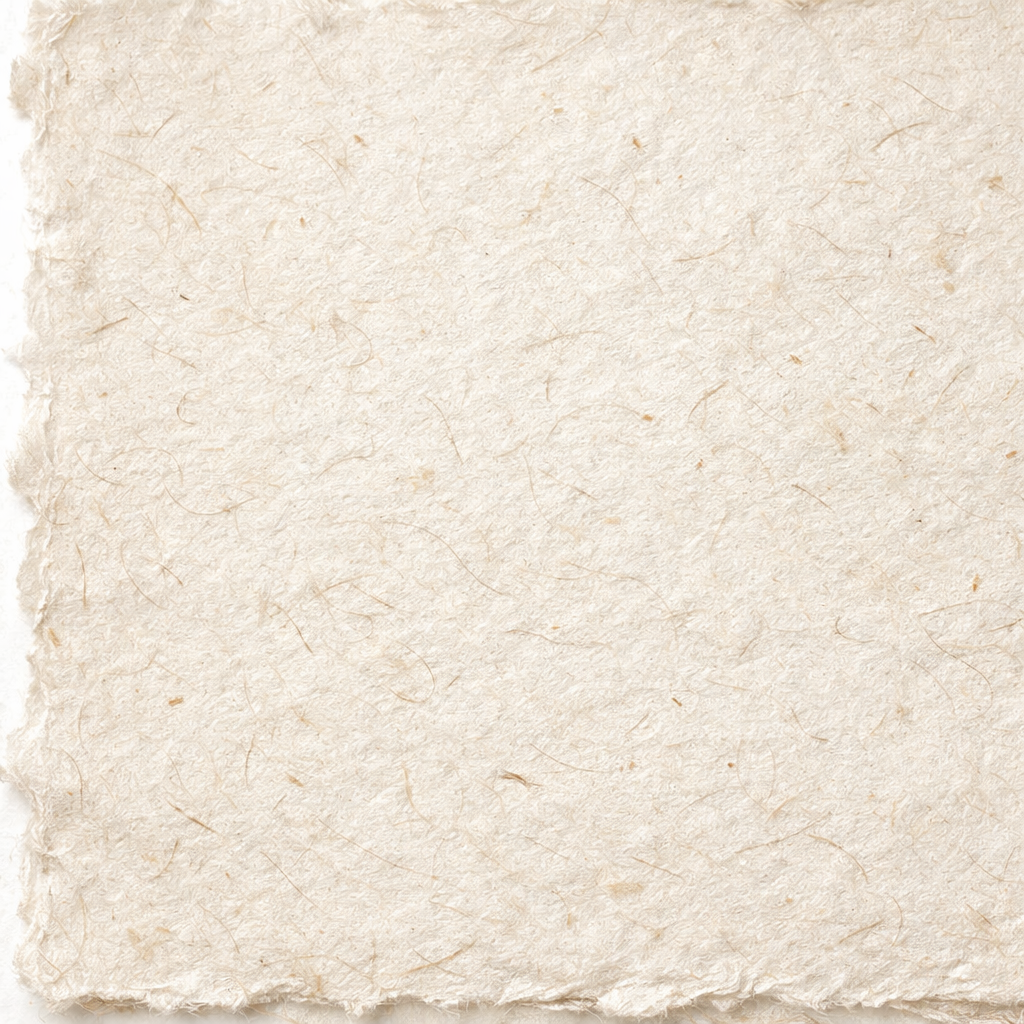 A close‑up of handmade mulberry paper showing natural fibers and uneven edges, realistic style, alt: mulberry paper text