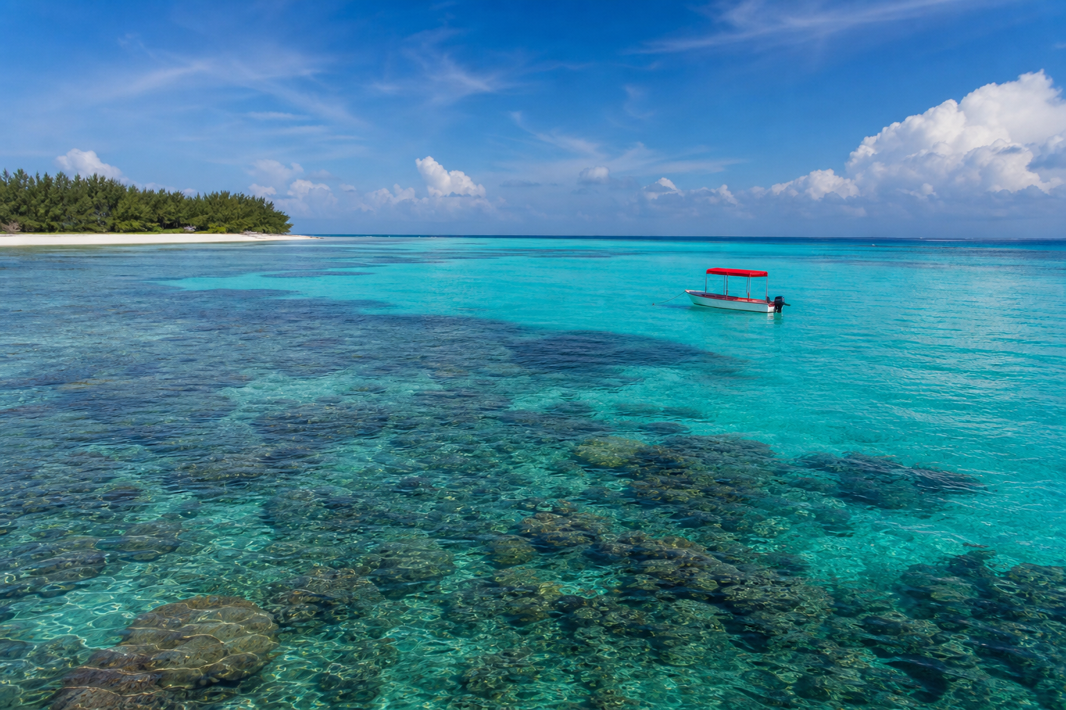 Mnemba Atoll Zanzibar diving