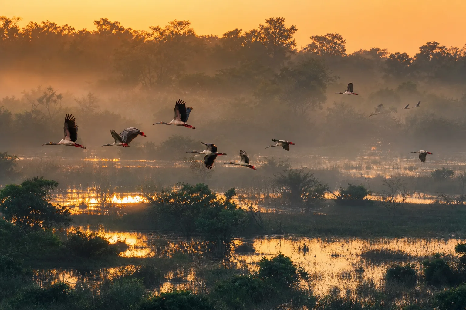 "Katavi green season birdwatching"