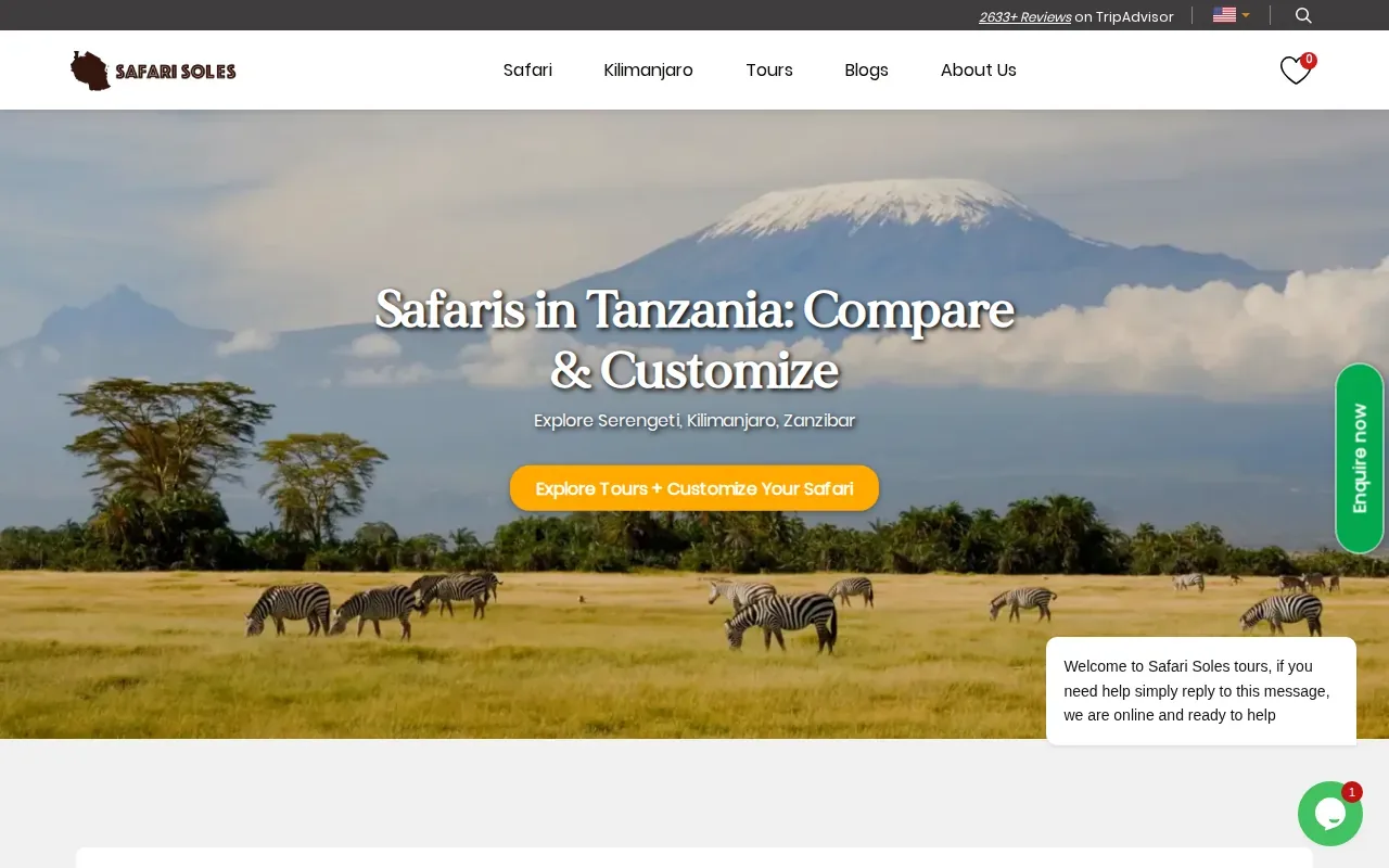 Screenshot of the Safari Soles Tours website