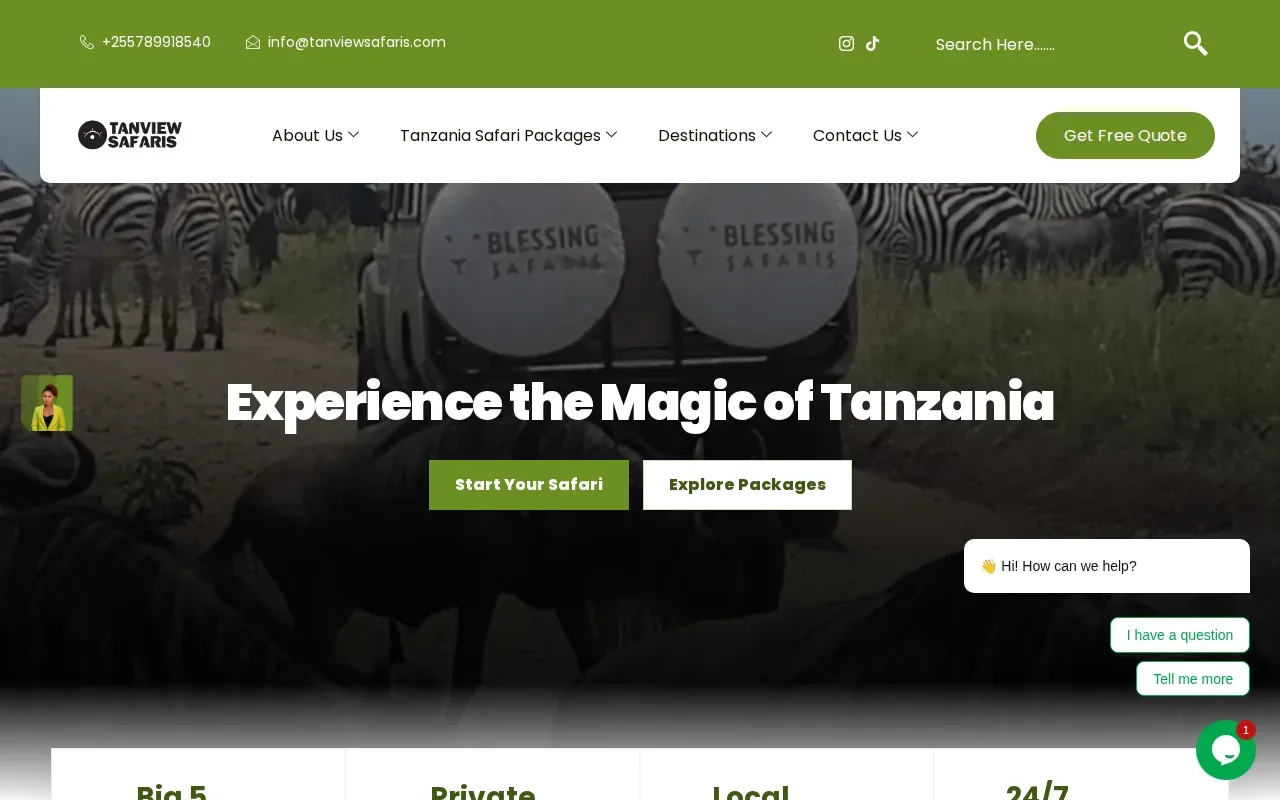 Screenshot of the Tanview Safaris website