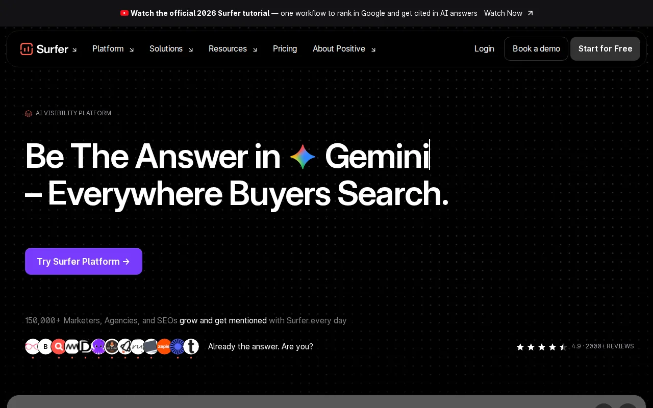 Surfer SEO: visual reference for 4. Surfer SEO, the optimisation layer