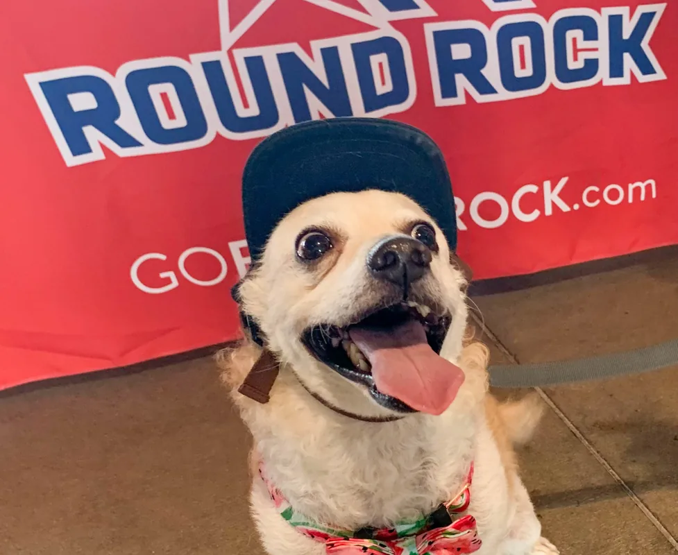 Round Rock: visual reference for 6. Round Rock, Usable Space, Amenities, and Value for Pet Households