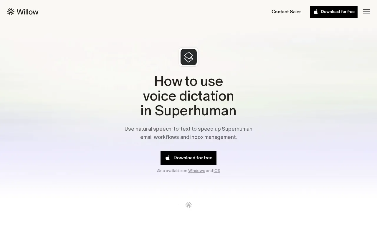 Screenshot of the Willow Voice website