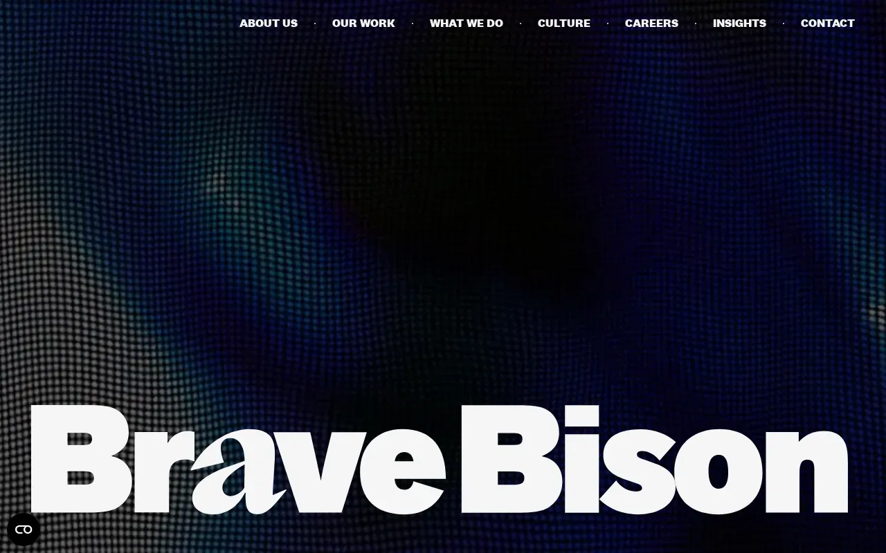 Screenshot of the Brave Bison website