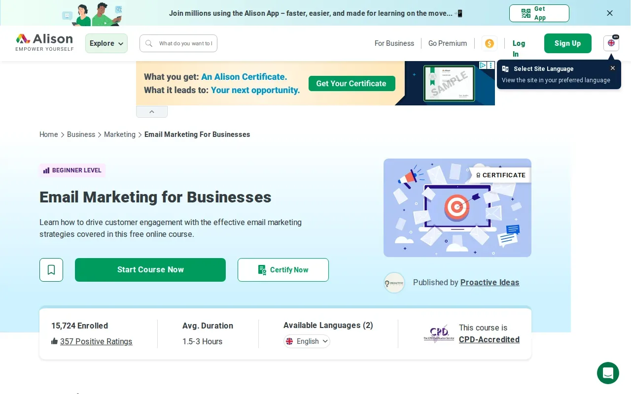 Screenshot of the Email Marketing by Alison website