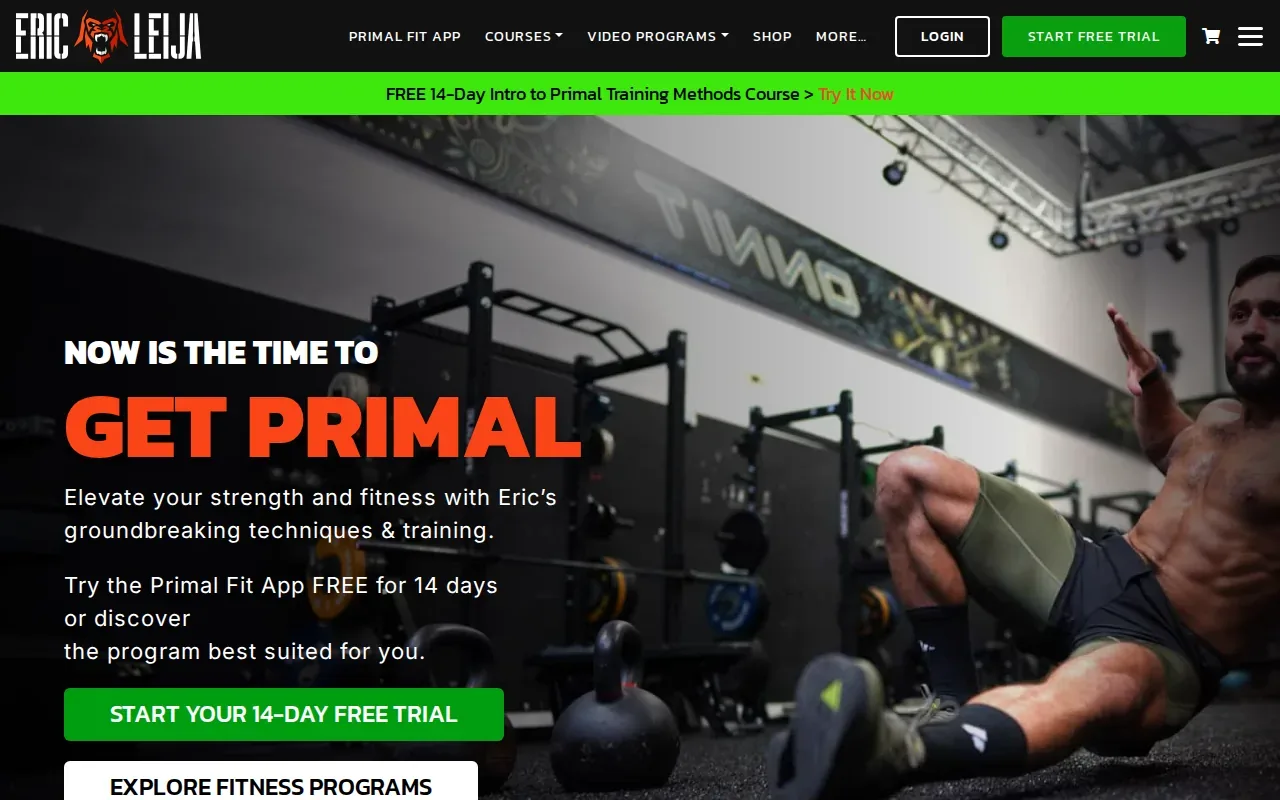 Screenshot of the EricLeija.com website