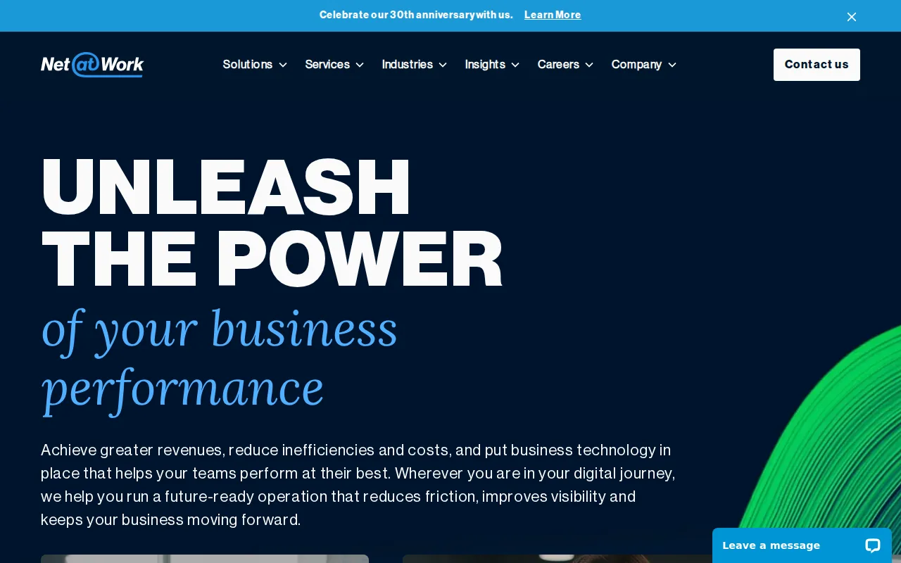 Screenshot of the Net at Work website