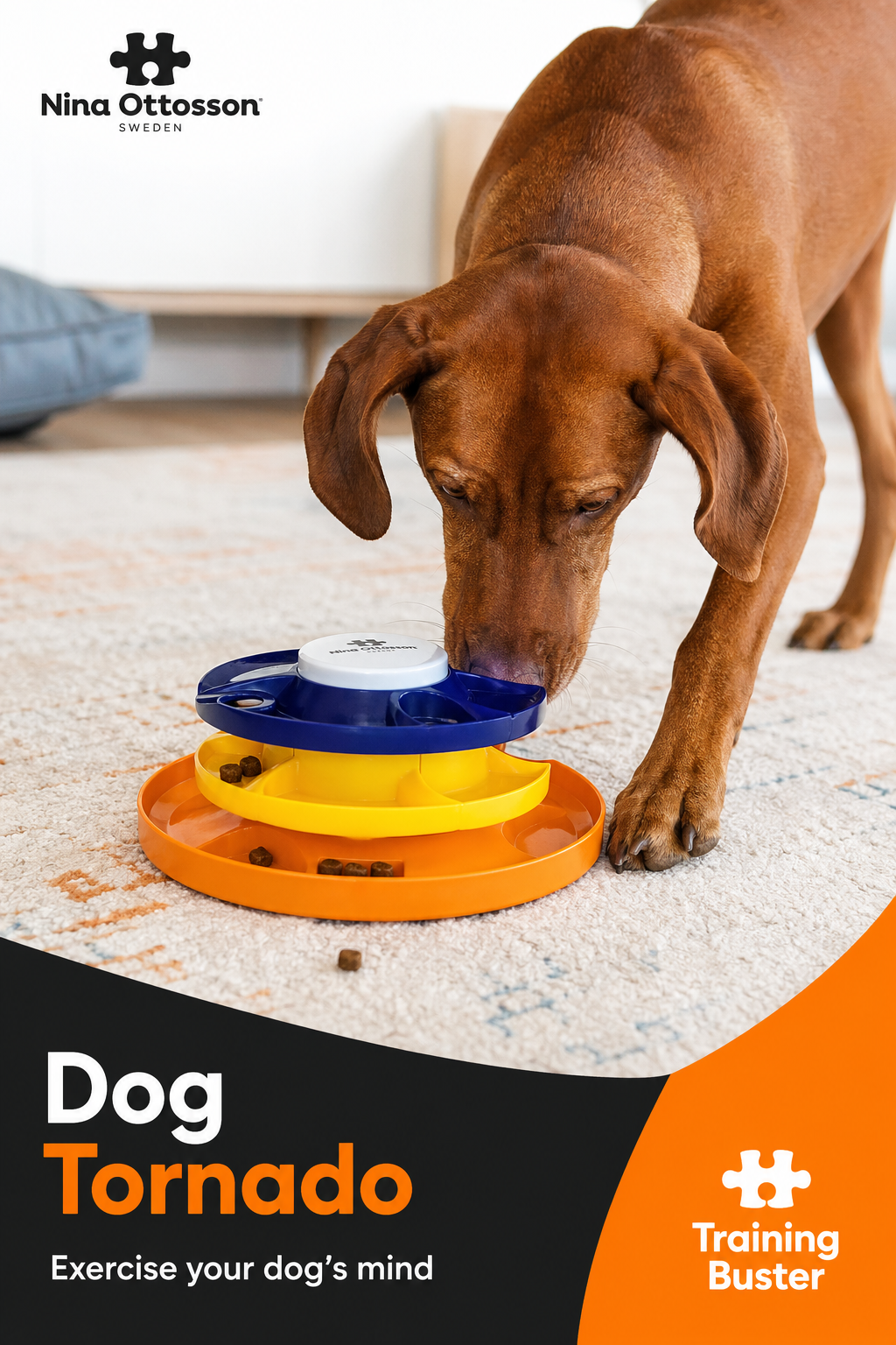 A realistic photo of a brown dog nudging a colorful Nina Ottosson Tornado puzzle on a carpeted floor, with treats visible in compartments. Alt: Dog playing with Nina Ottosson Dog Tornado puzzle toy