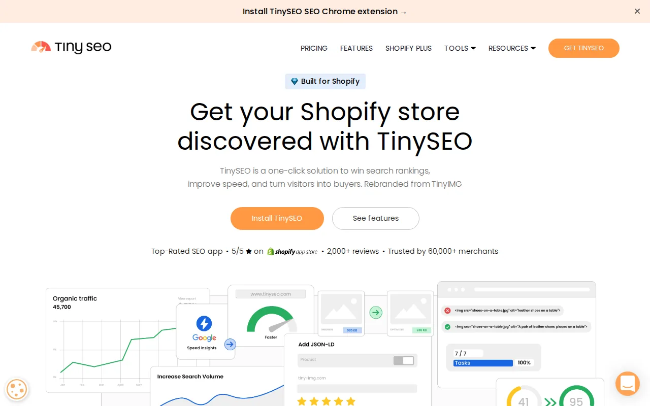 Screenshot of the Tiny SEO website