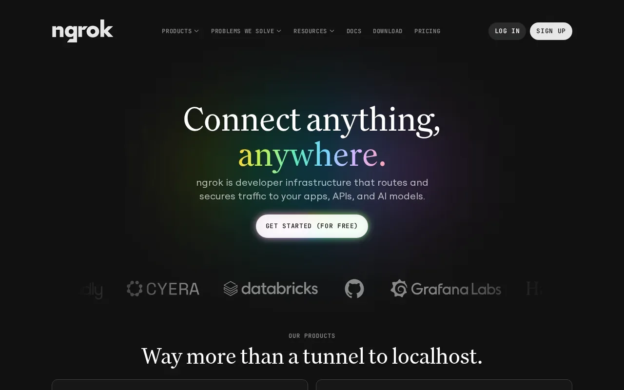 Screenshot of the ngrok website