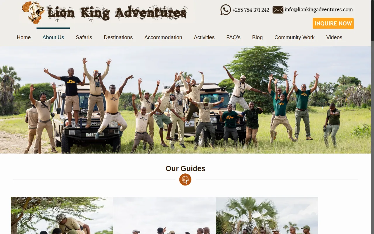 Screenshot of the Lion King Adventures website