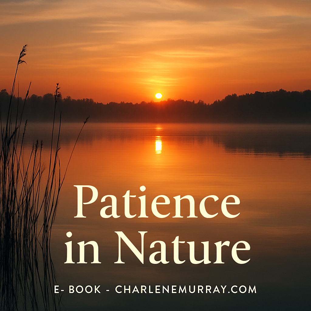 A serene sunrise over a quiet lake, symbolizing patience and hope. Alt: Patience in nature
