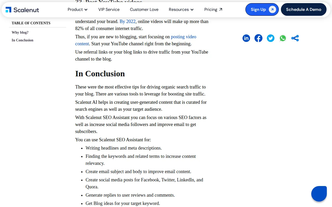 Scalenut: visual reference for 8. Scalenut , High‑Volume Blog Example for Agencies