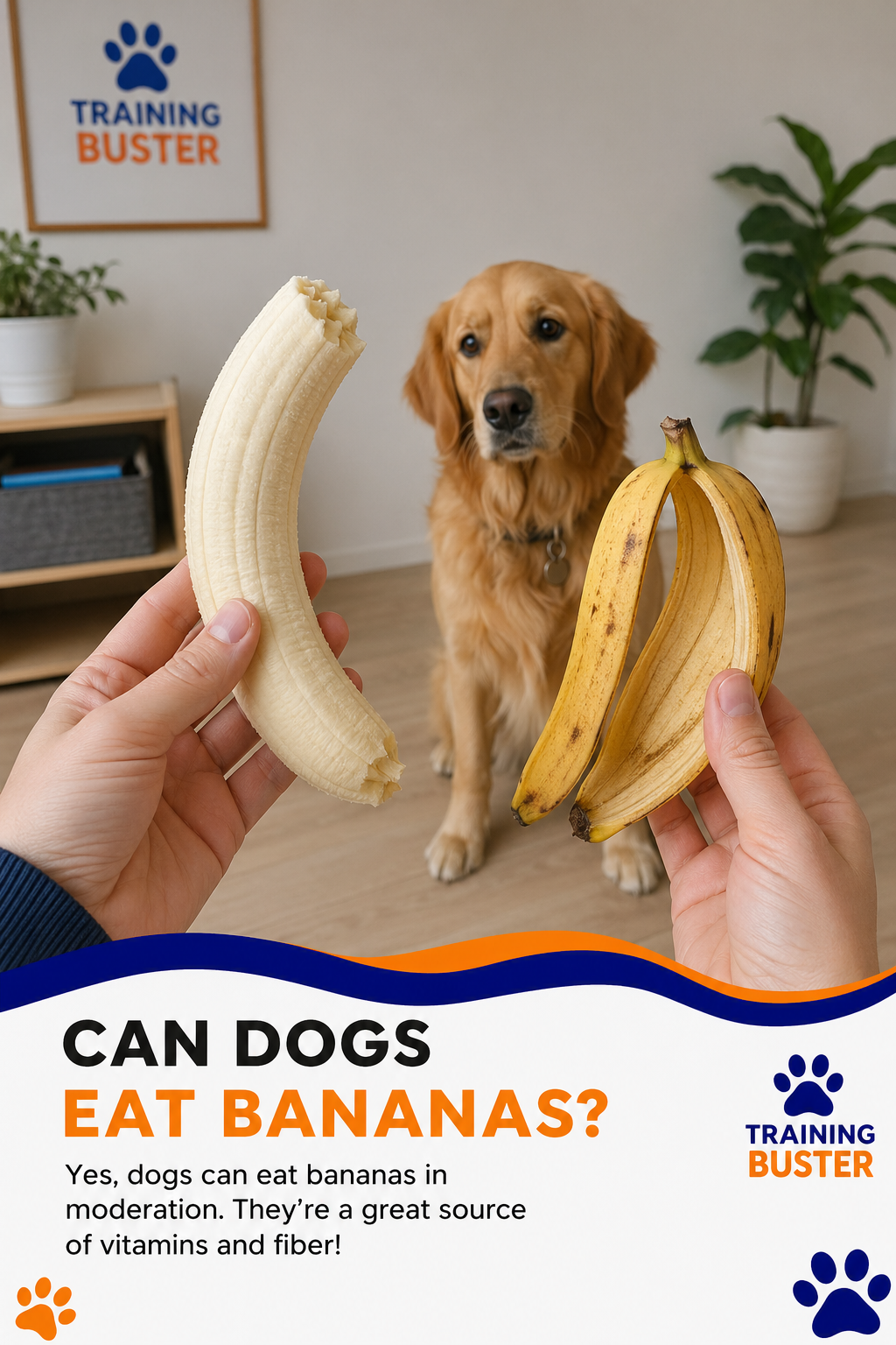 A photorealistic image of a half-peeled banana with the peel separate, showing the fruit and peel, with a concerned dog owner's hand holding the banana. Alt: Hands holding a banana and its peel, dog in background.
