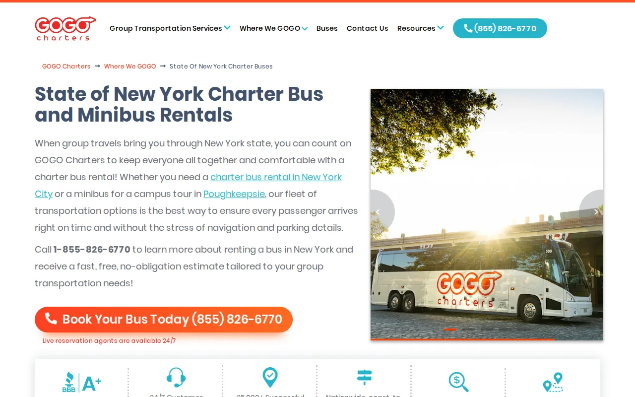 Screenshot of the GOGO Charters website