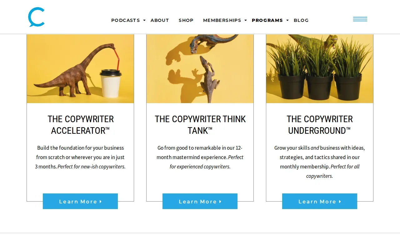 Screenshot of the The Copywriter Accelerator website