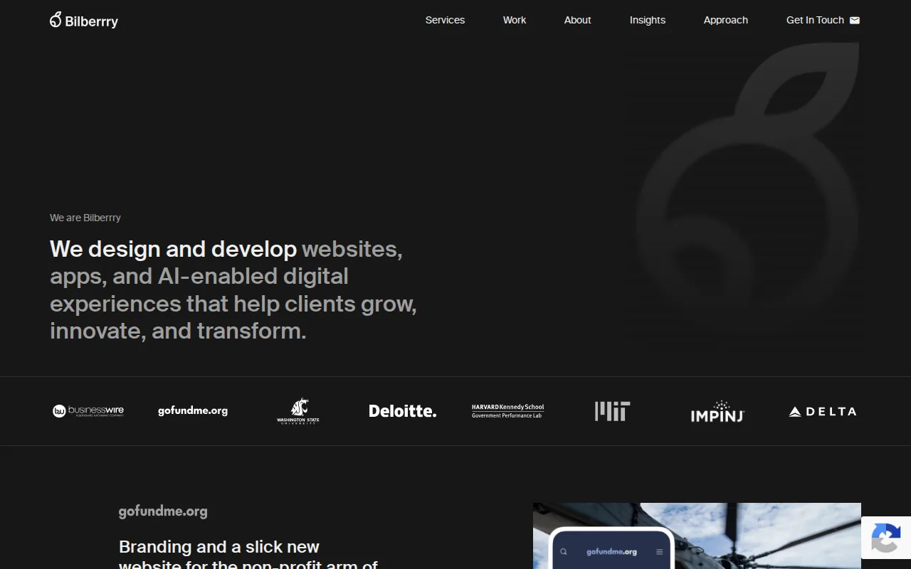 Screenshot of the Bilberrry website