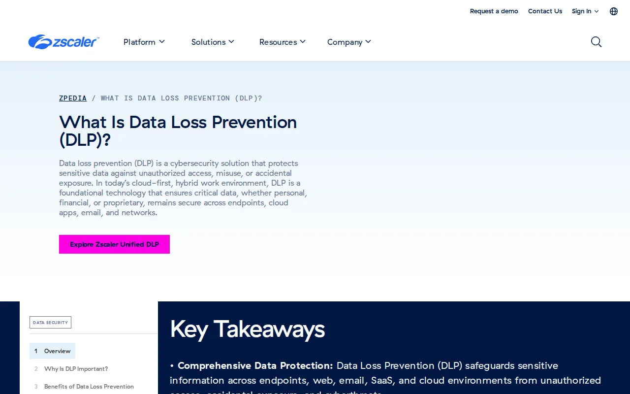 Screenshot of the Zscaler DLP website