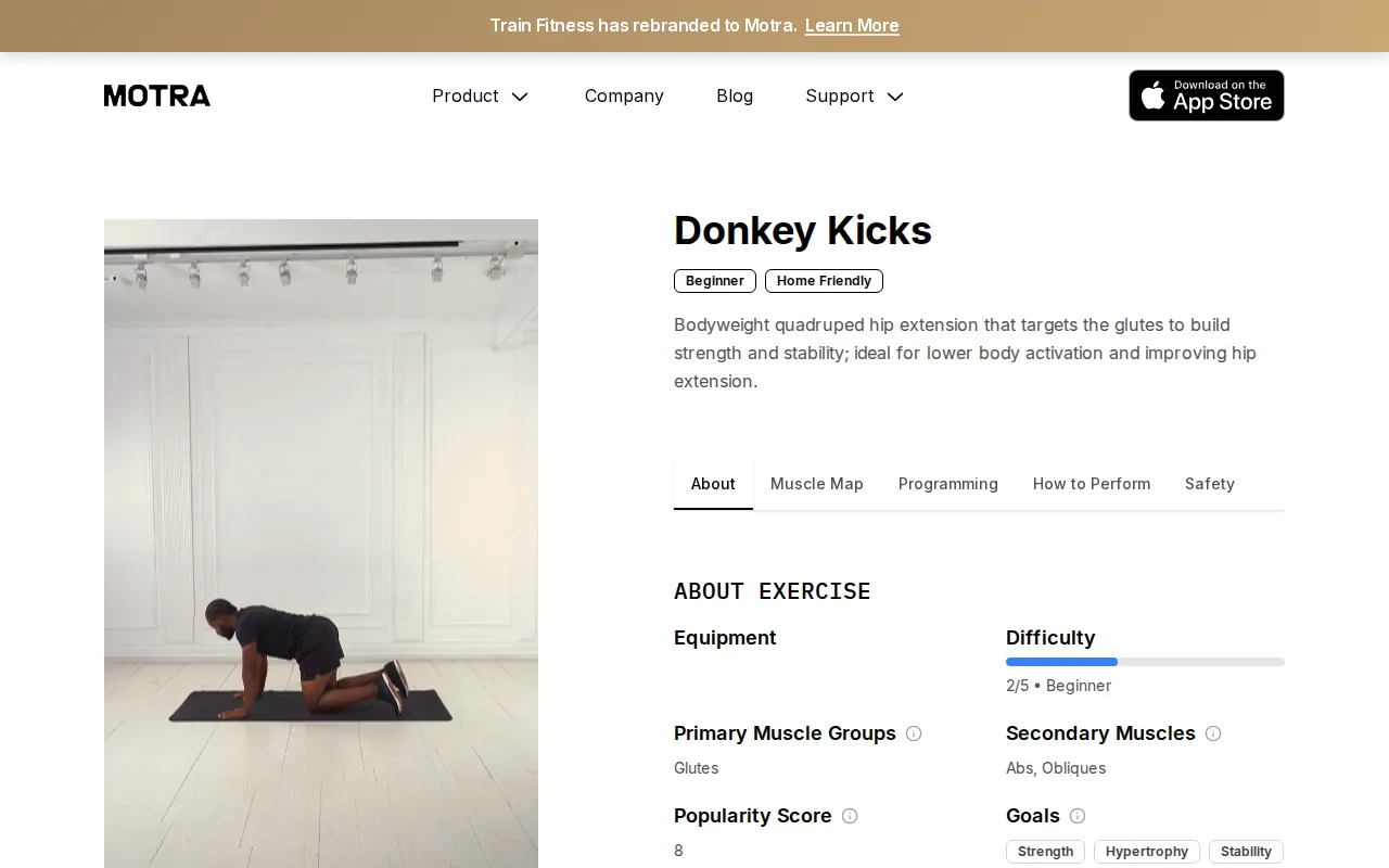Screenshot of the Donkey Kicks website