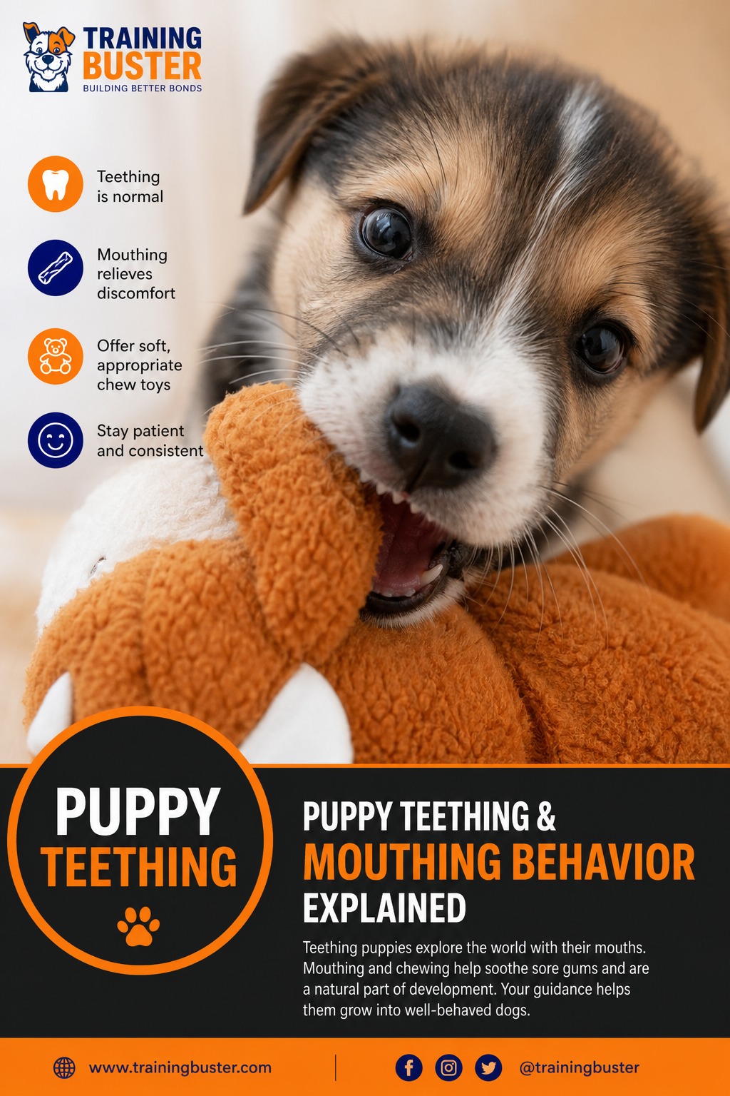 A photorealistic close-up of a young puppy's mouth with tiny sharp teeth, looking curious. The puppy is playfully mouthing a soft toy. Warm indoor lighting, realistic puppy fur textures. Alt: Puppy teething and mouthing behavior explained.