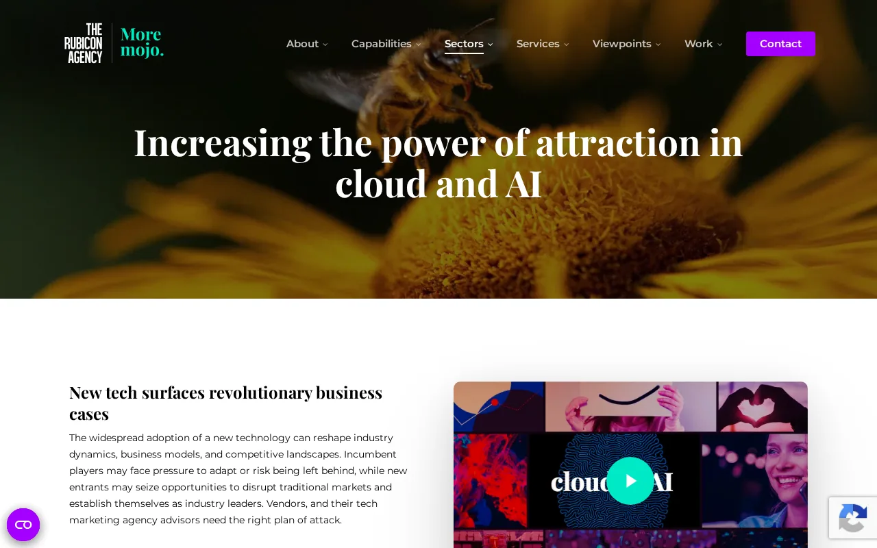 Screenshot of the The Rubicon Agency website
