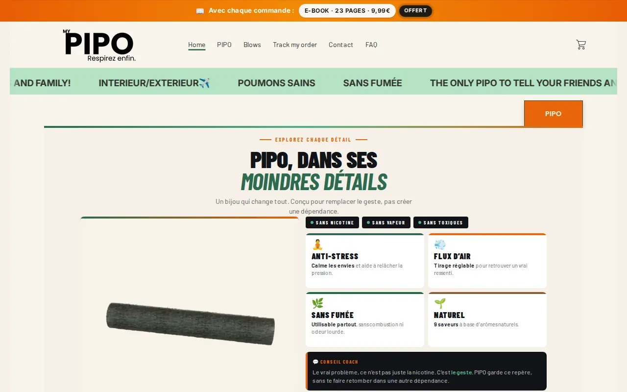 Screenshot of the PIPO website
