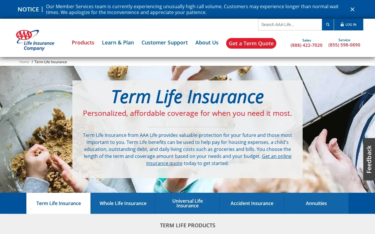 Screenshot of the Term Life Insurance by AAA Life Insurance Company website