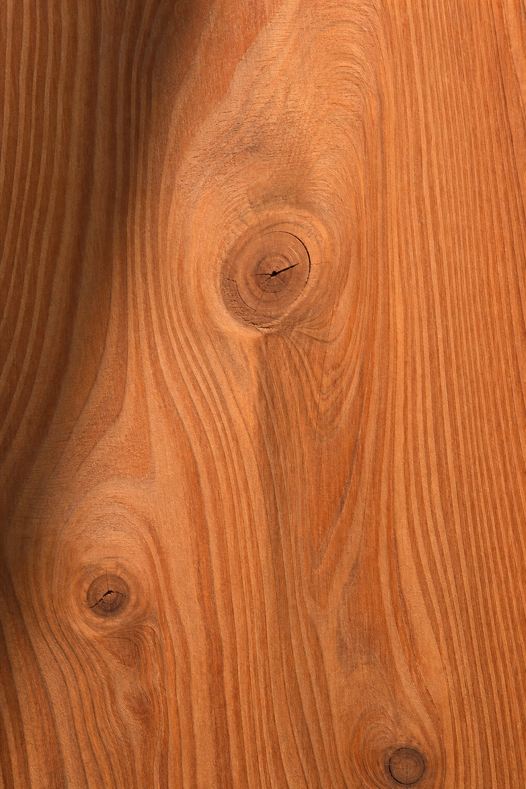 A photorealistic close-up of Western Red Cedar wood grain, showing rich reddish-brown tones and tight knots, with warm sunlight highlighting the texture. Alt: Western Red Cedar wood grain texture used in outdoor cedar sauna.