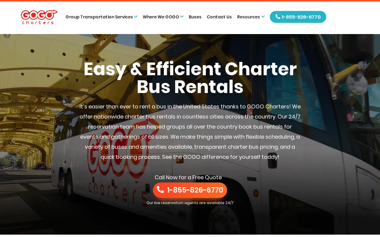 Screenshot of the GOGO Charters website
