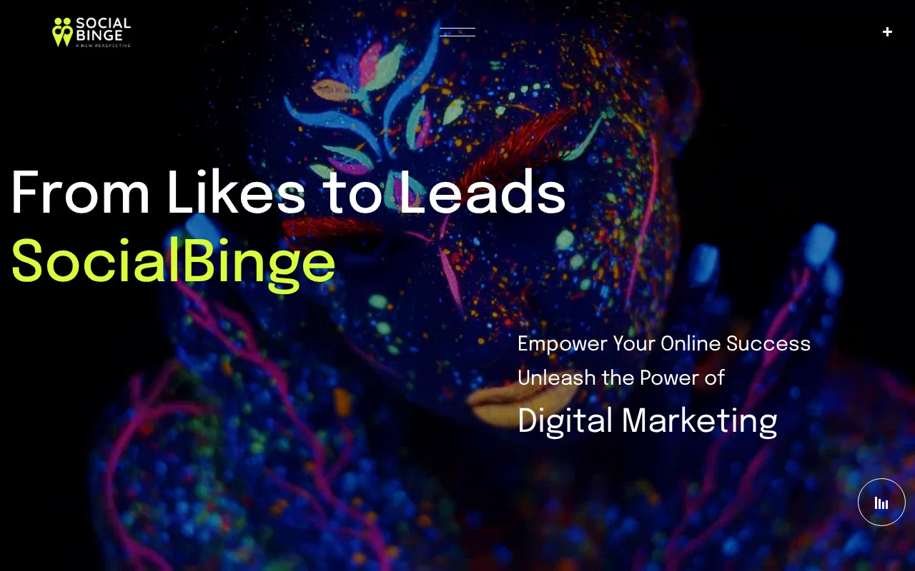 SocialBinge: visual reference for 1. SocialBinge (Our Top Pick)