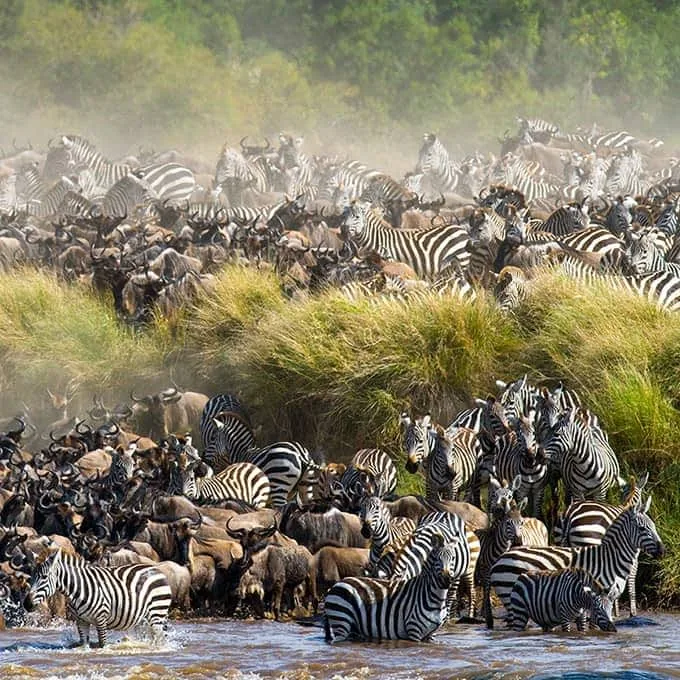 Photo of Masai Mara National Reserve