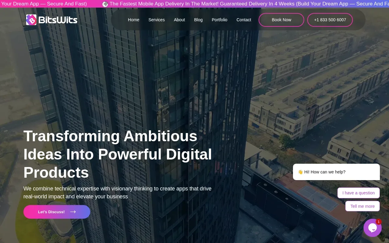 Screenshot of the BitsWits website