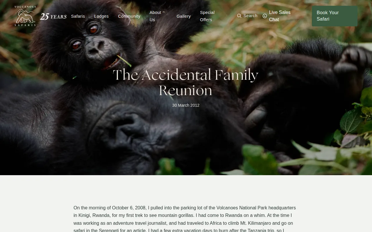 Screenshot of the Volcanoes Safaris website
