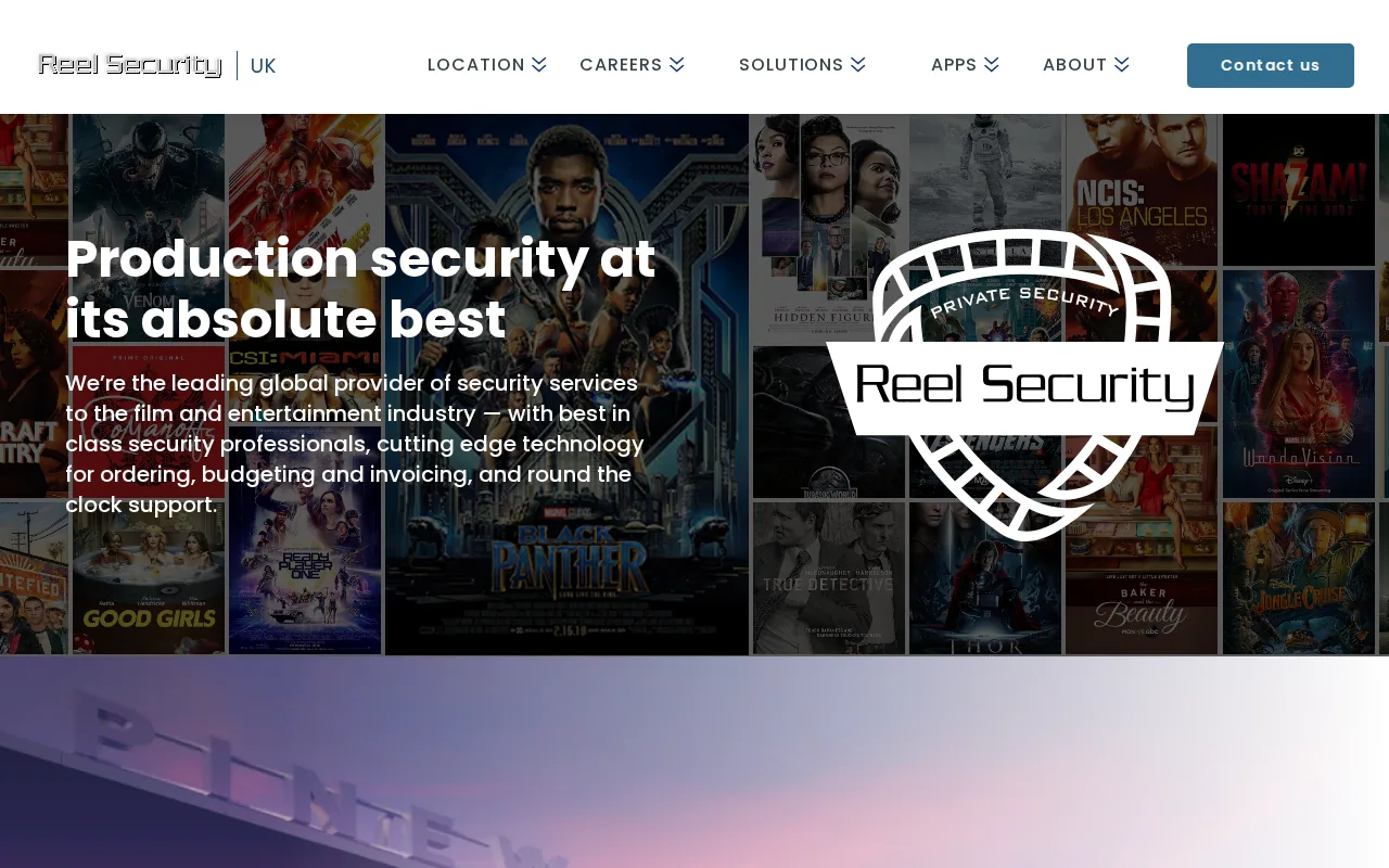 Screenshot of the Reel Security UK website
