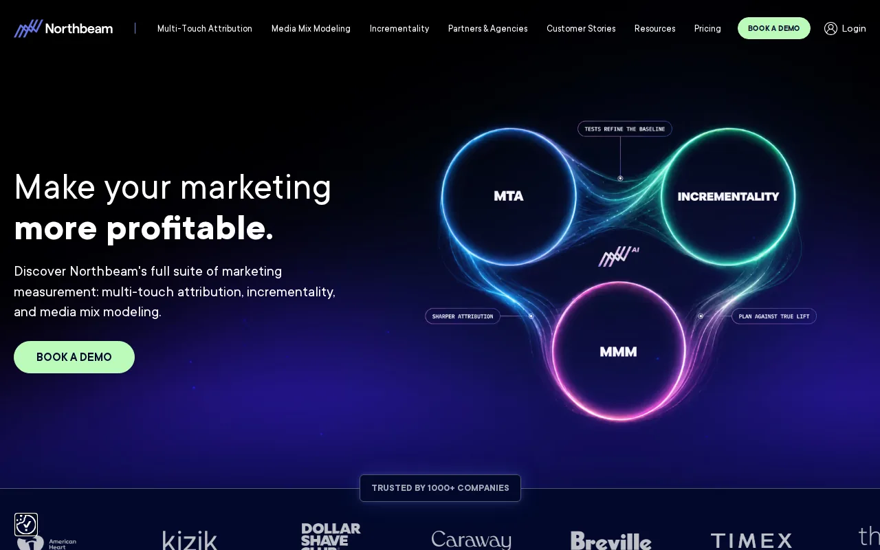 Screenshot of the Northbeam website