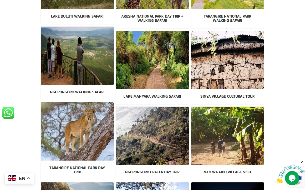 Lake Manyara Walking Safari: visual reference for 5. Lake Manyara Walking Safari – Best for Birding