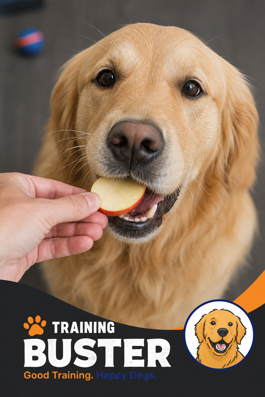 A realistic close-up of a hand offering a slice of red apple to a golden retriever's mouth, with the dog looking eager. Alt: Dog eating an apple slice safely.