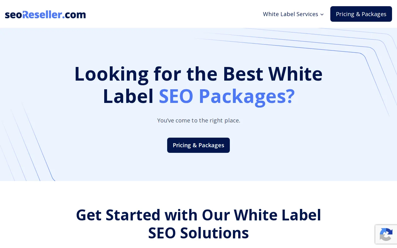 Screenshot of the SEOReseller website
