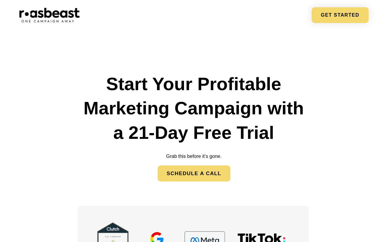 Best YouTube Advertising Agency Options 4 Screenshot of the Roasbeast website